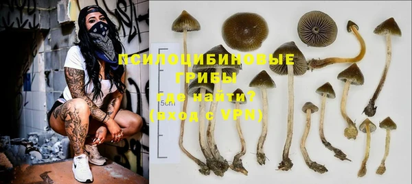 первитин Алексеевка