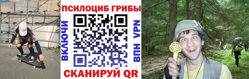 Псилоцибиновые грибы мицелий  Завитинск 